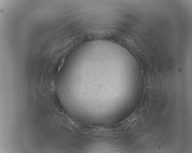 X0000068741109200605262044