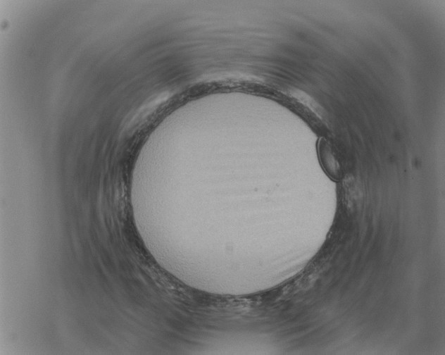 X0000068741111200605262044