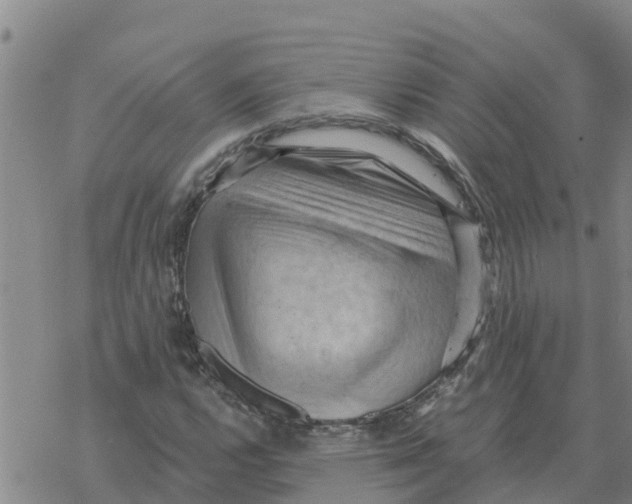 X0000068741112200605262044