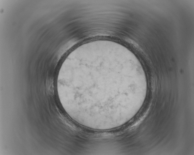 X0000068741113200605262044