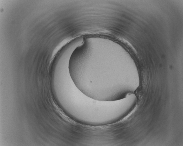 X0000068741114200605262044