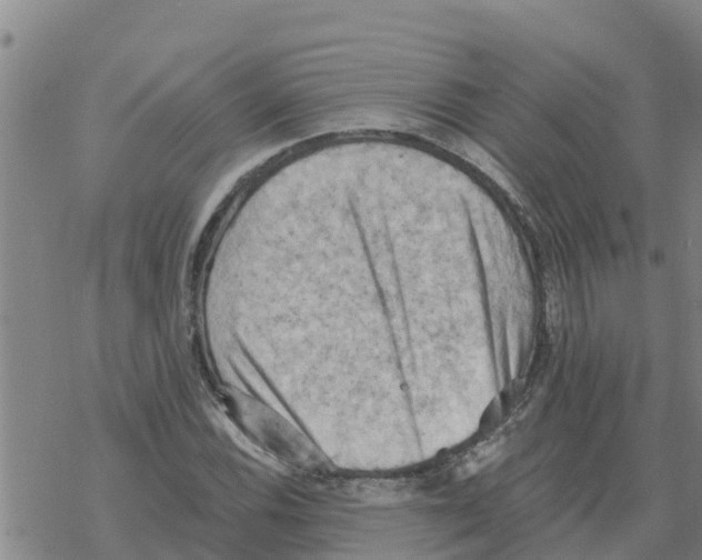 X0000068741116200605262044