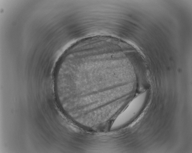 X0000068741118200605262044