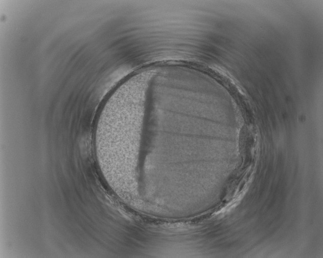 X0000068741121200605262044