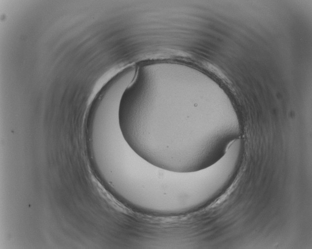 X0000068741122200605262044