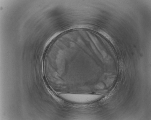 X0000068741127200605262044