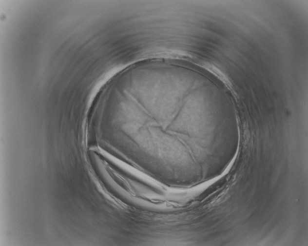 X0000068741128200605262044