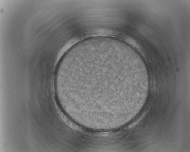 X0000068741130200605262044