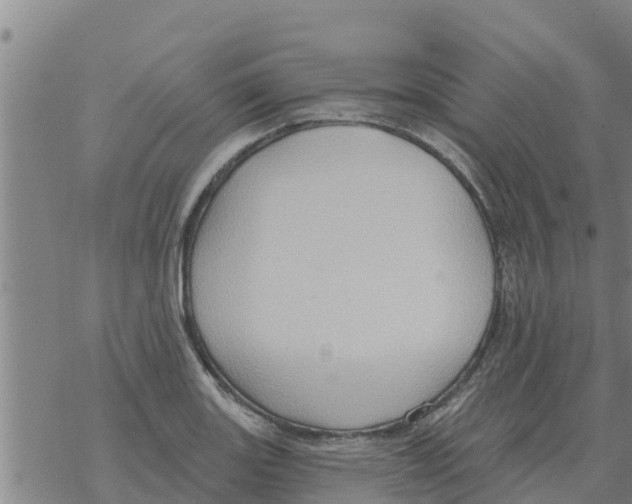 X0000068741131200605262044