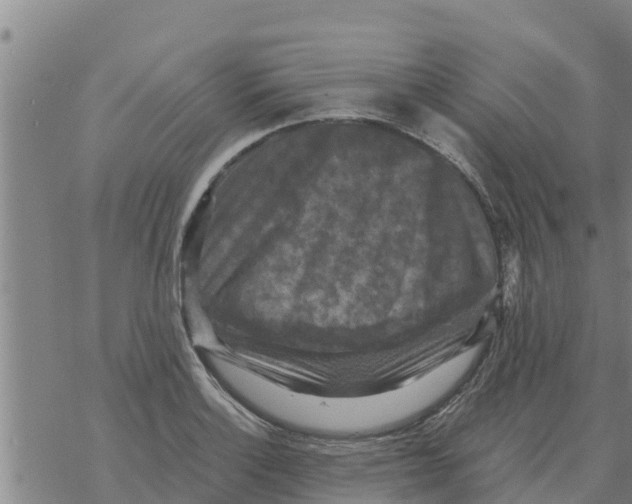 X0000068741132200605262044