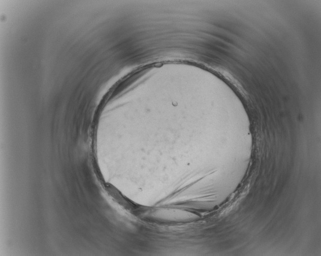 X0000068741134200605262044