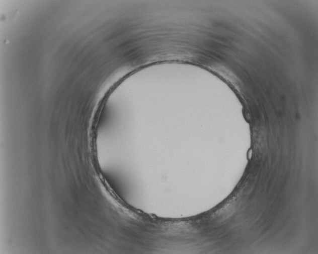 X0000068741135200605262044