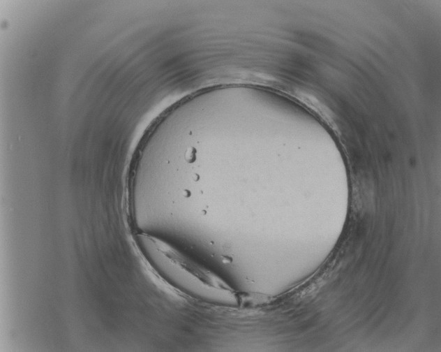 X0000068741136200605262044