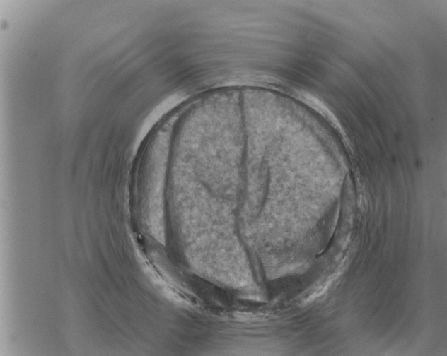 X0000068741138200605262044