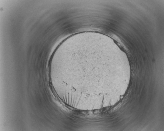 X0000068741140200605262044