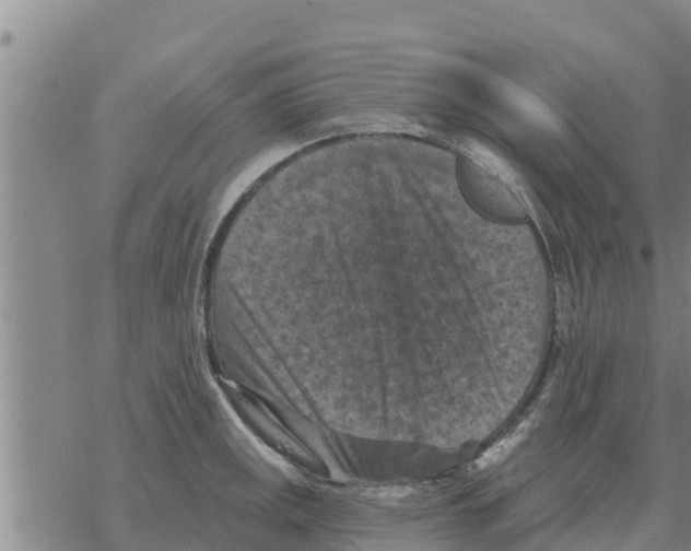 X0000068741141200605262044