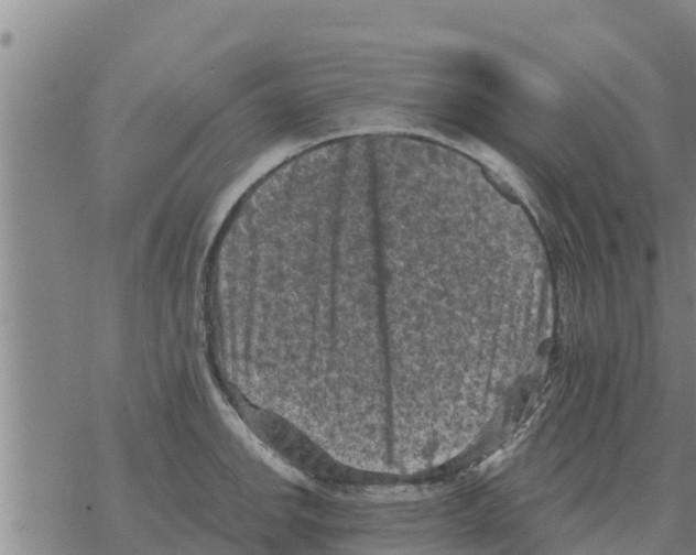 X0000068741142200605262044