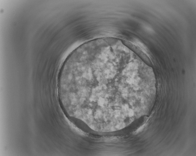 X0000068741143200605262044