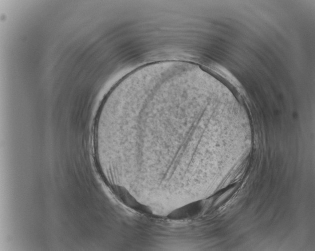 X0000068741144200605262044