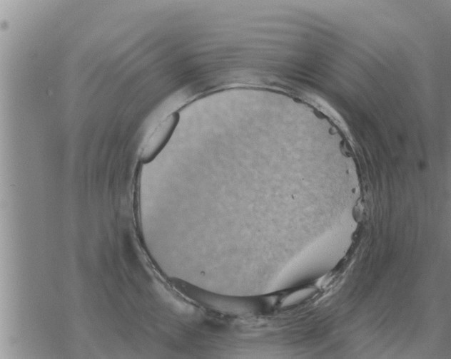 X0000068741146200605262044