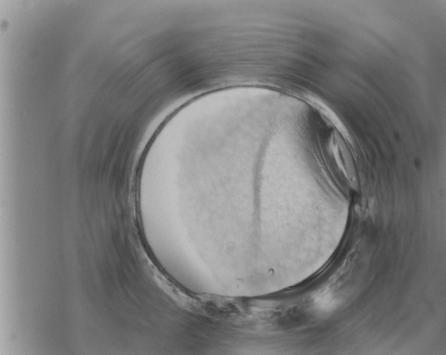 X0000068741148200605262044