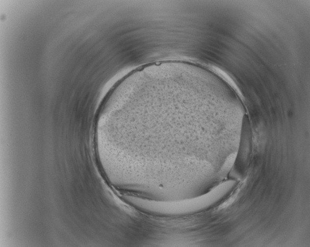 X0000068741149200605262044