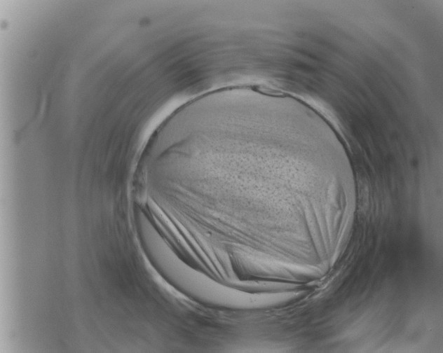 X0000068741151200605262044