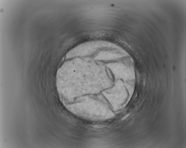 X0000068741153200605262043