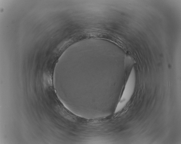 X0000068741155200605262043