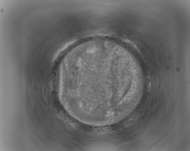 X0000068741159200605262043