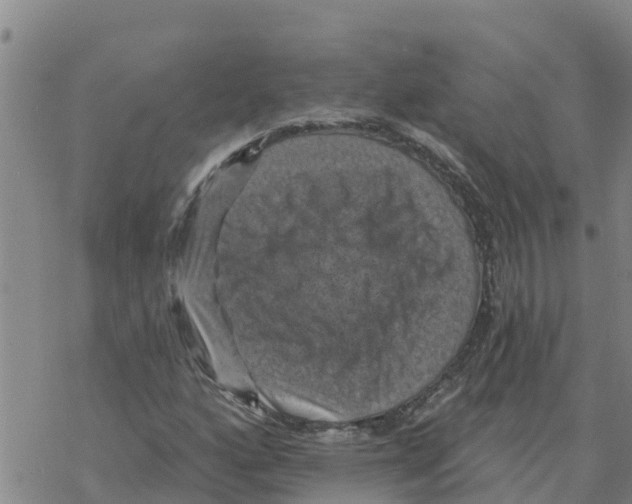 X0000068741160200605262043