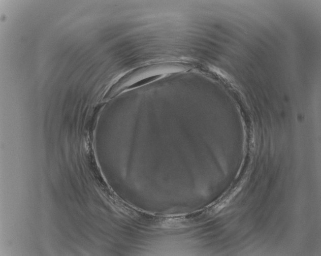 X0000068741161200605262043