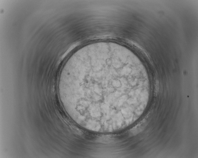 X0000068741162200605262043