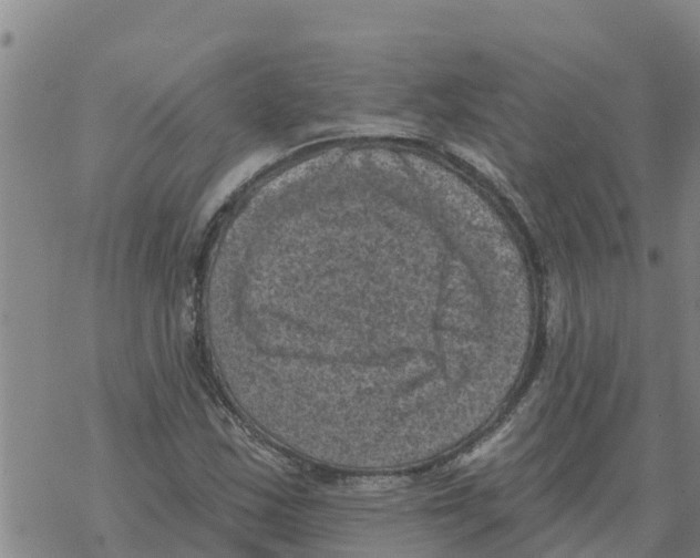 X0000068741163200605262043