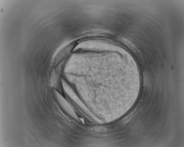 X0000068741164200605262043