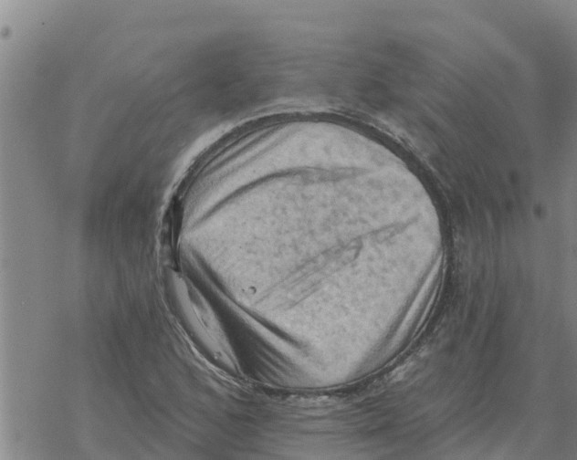 X0000068741168200605262043