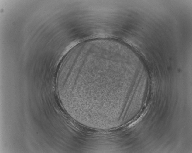 X0000068741170200605262043