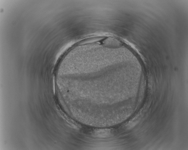 X0000068741171200605262043