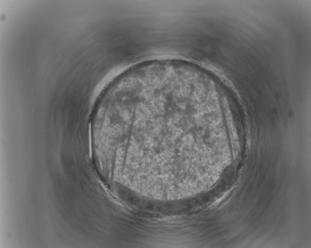 X0000068741175200605262043