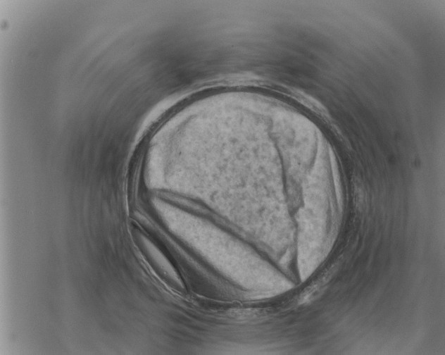 X0000068741176200605262043