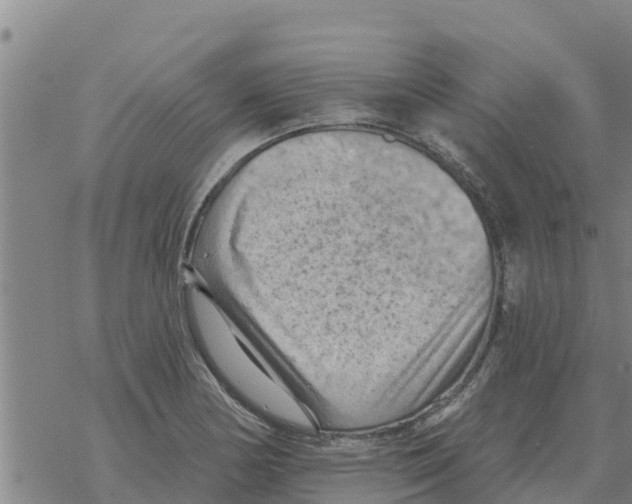 X0000068741178200605262043