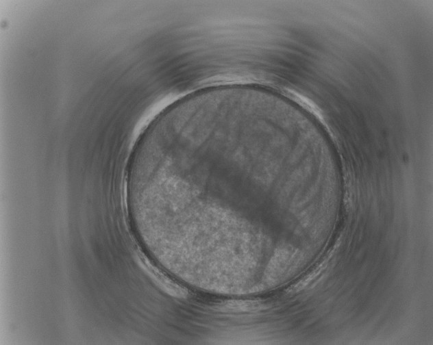 X0000068741179200605262043