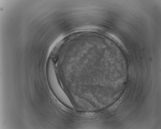 X0000068741180200605262043