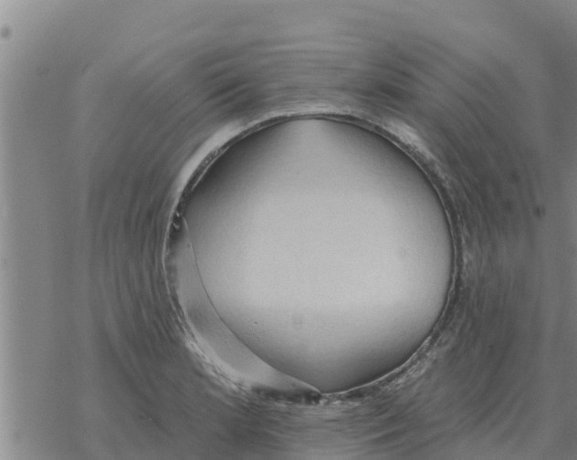 X0000068741181200605262043