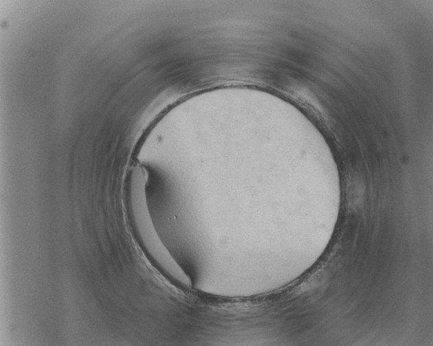 X0000068741182200605262043