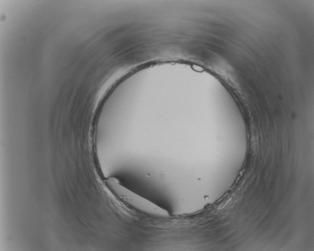 X0000068741183200605262043