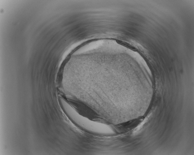 X0000068741184200605262043