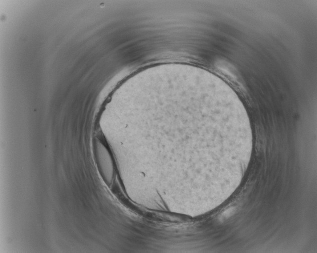 X0000068741188200605262043