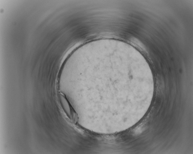 X0000068741190200605262043