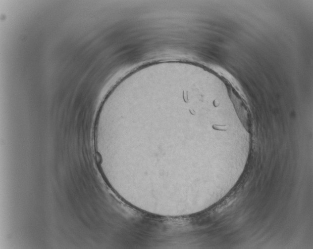 X0000068741191200605262043